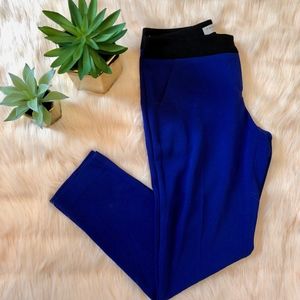 Trina Turk Cobalt Blue Trouser